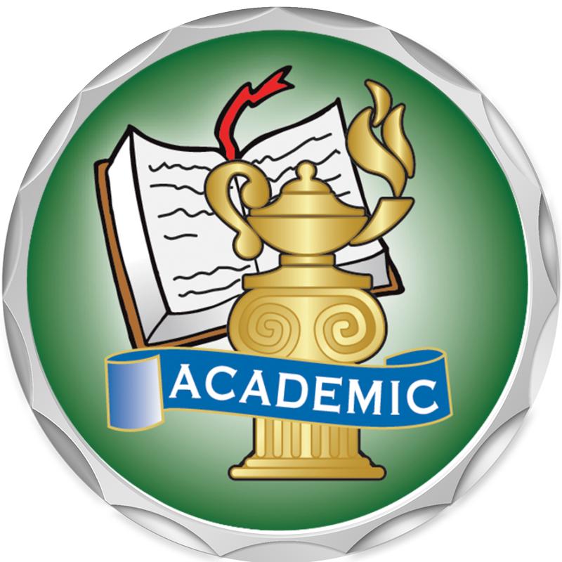 2.2" SILVER BUTTON INSERT PIN