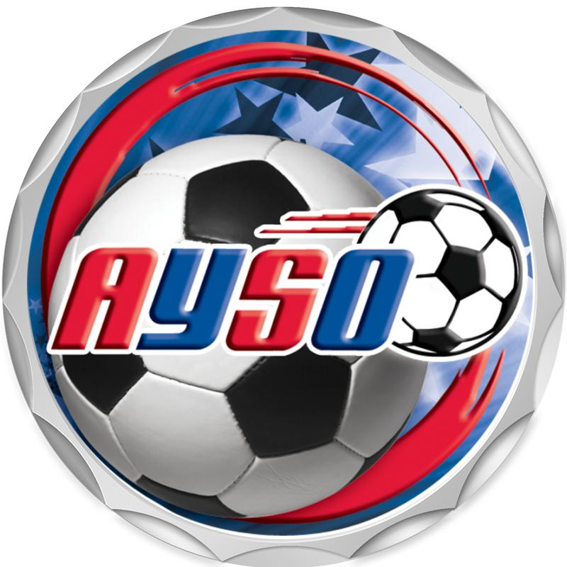 2.2" SILVER BUTTON INSERT PIN