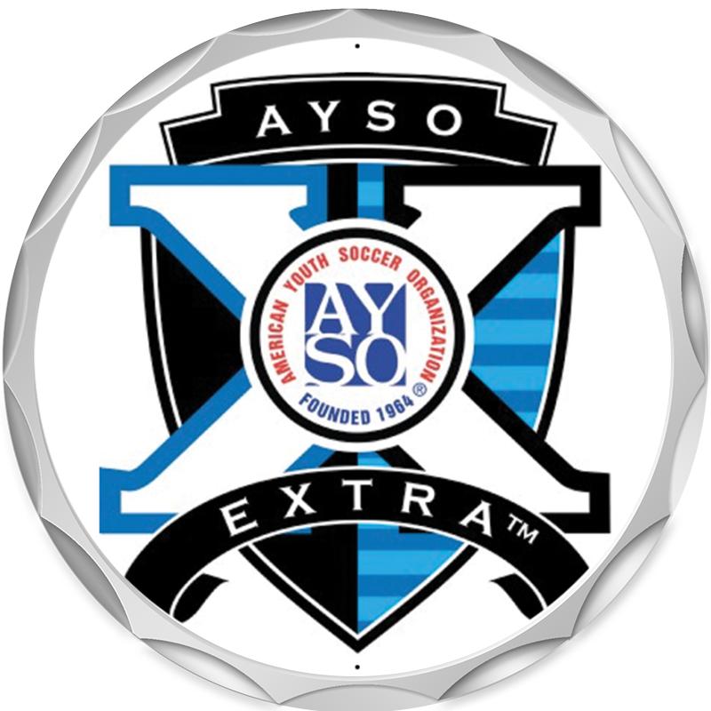 2.2" SILVER BUTTON INSERT PIN