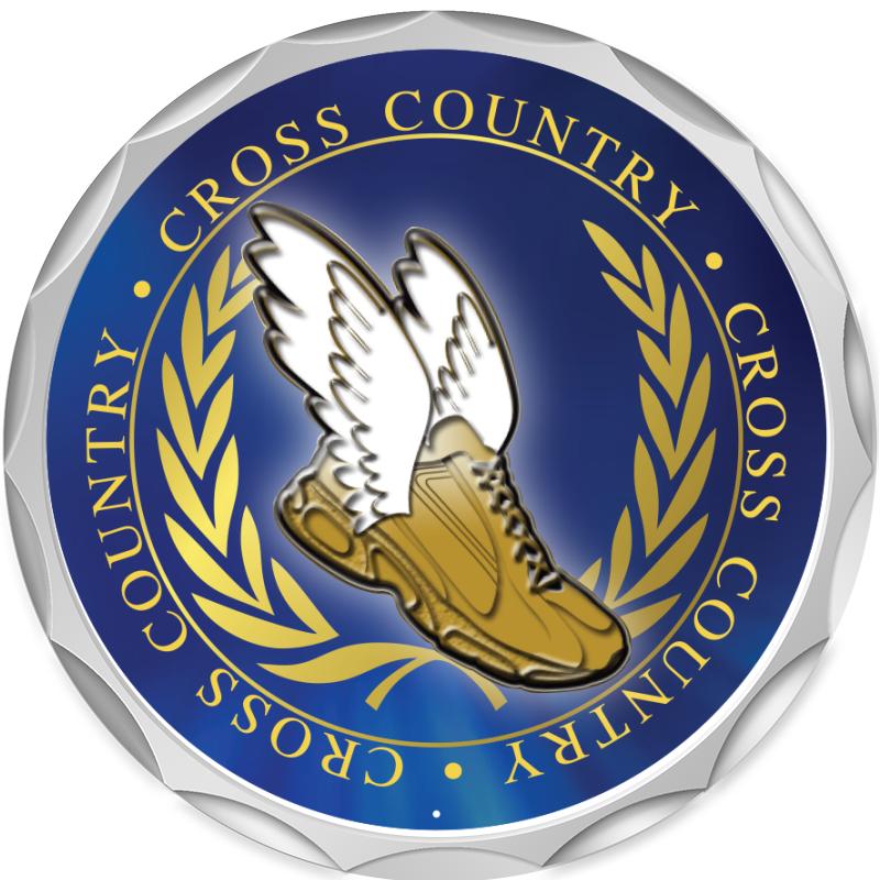 2.2" SILVER BUTTON INSERT PIN