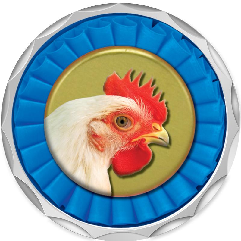 2.2" SILVER BUTTON INSERT PIN