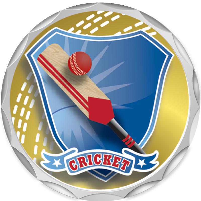 2.2" SILVER BUTTON INSERT PIN