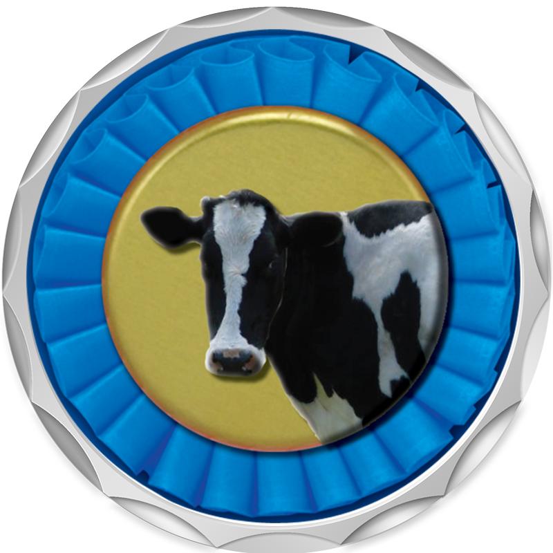 2.2" SILVER BUTTON INSERT PIN