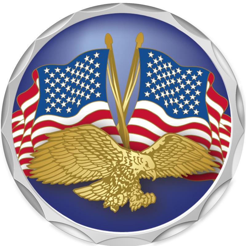 2.2" SILVER BUTTON INSERT PIN