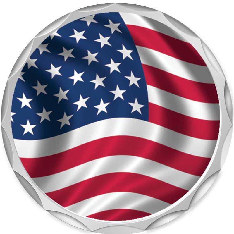 2.2" SILVER BUTTON INSERT PIN