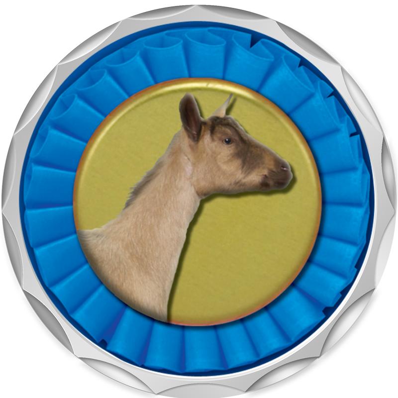 2.2" SILVER BUTTON INSERT PIN