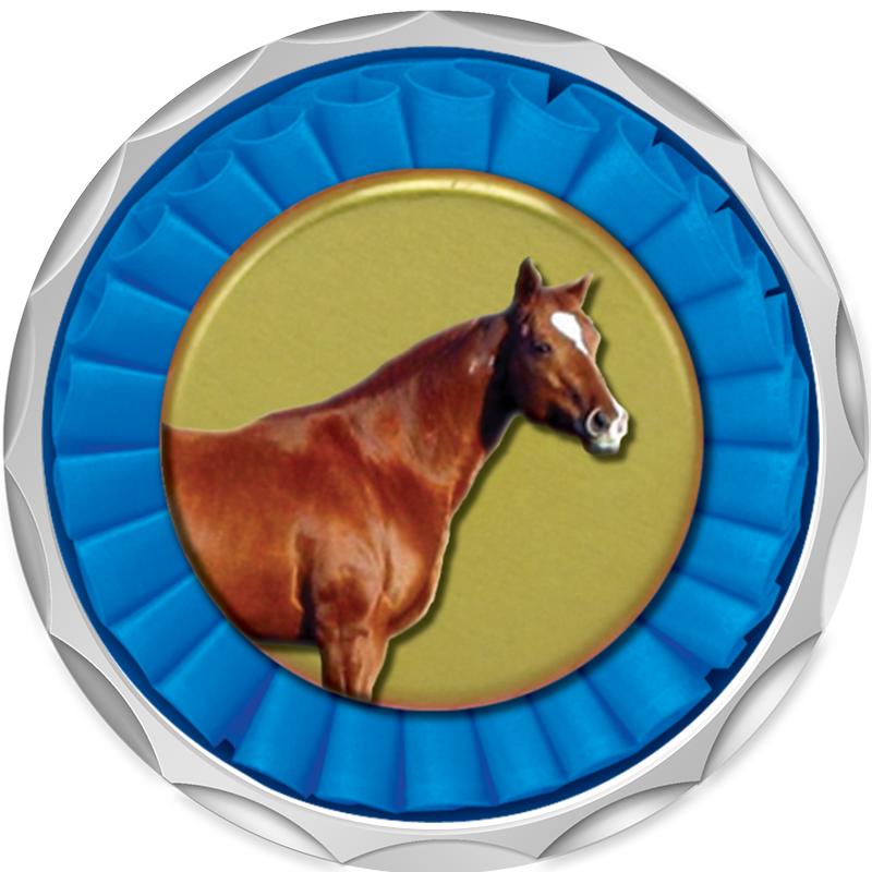 2.2" SILVER BUTTON INSERT PIN