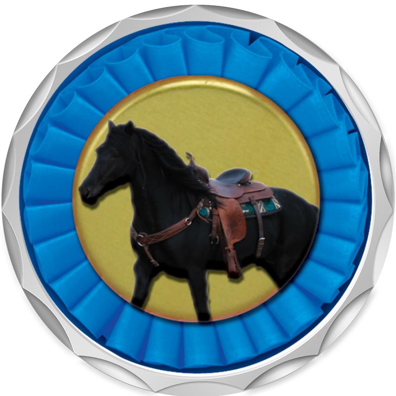 2.2" SILVER BUTTON INSERT PIN