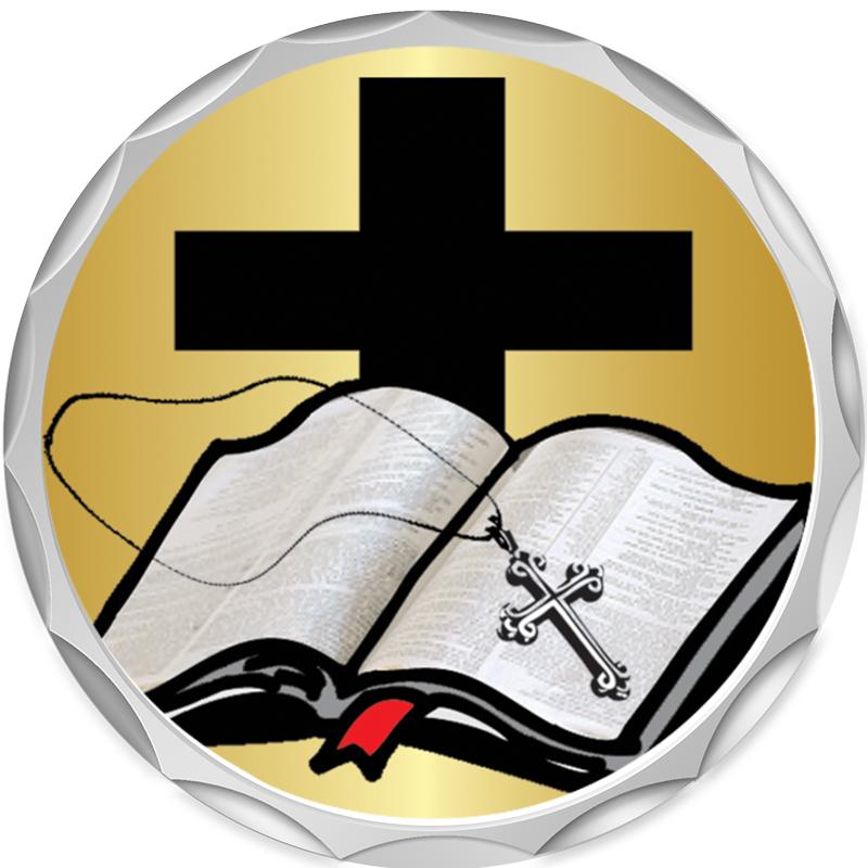 2.2" SILVER BUTTON INSERT PIN