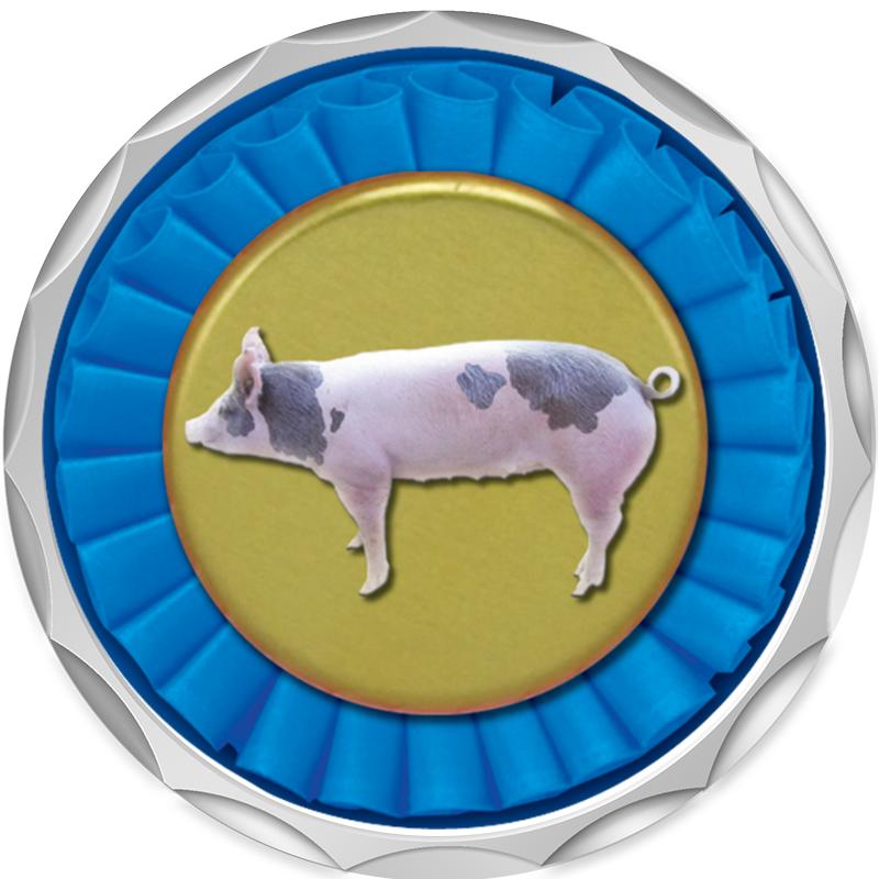 2.2" SILVER BUTTON INSERT PIN