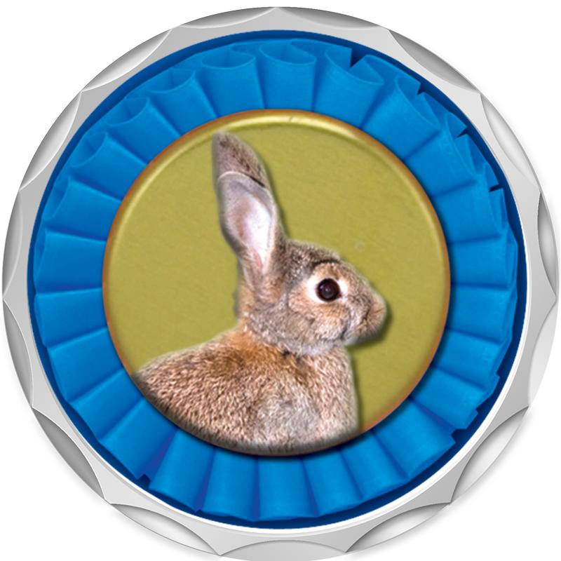 2.2" SILVER BUTTON INSERT PIN