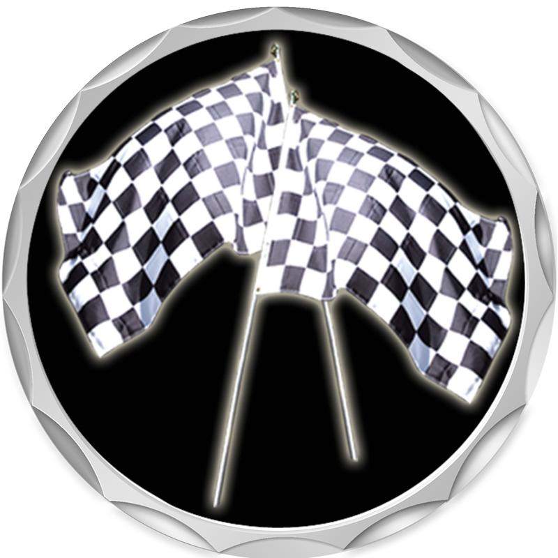 2.2" SILVER BUTTON INSERT PIN