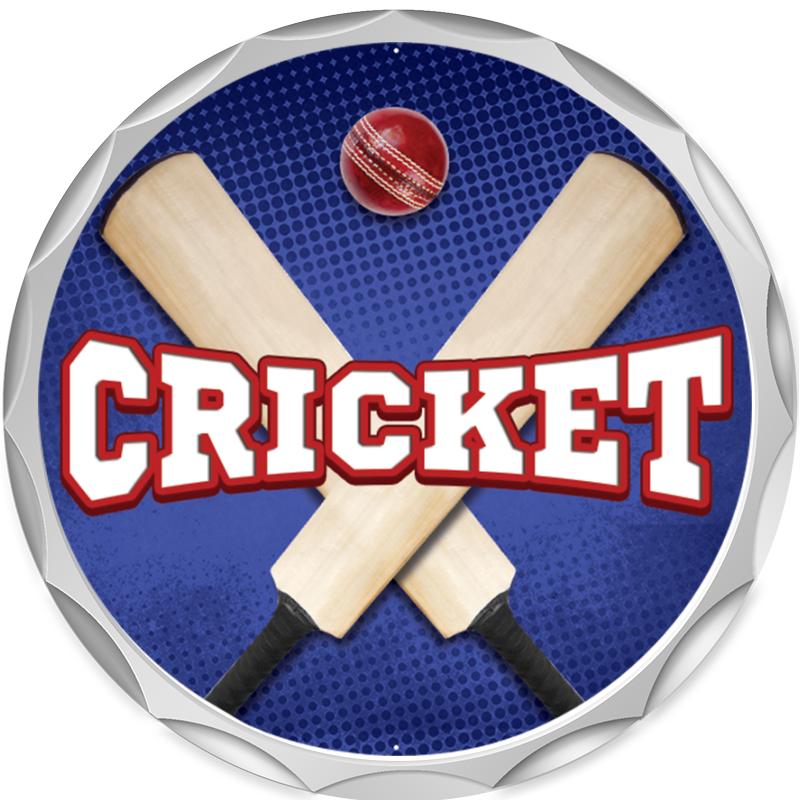 2.2" SILVER BUTTON INSERT PIN