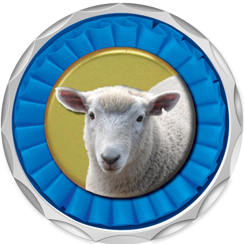 2.2" SILVER BUTTON INSERT PIN