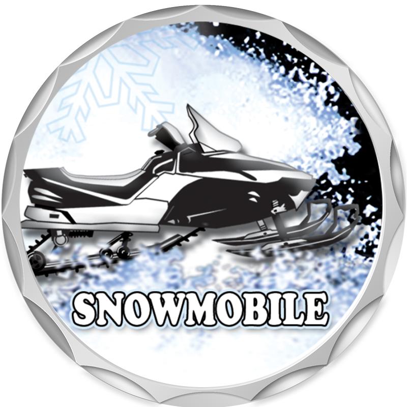 2.2" SILVER BUTTON INSERT PIN