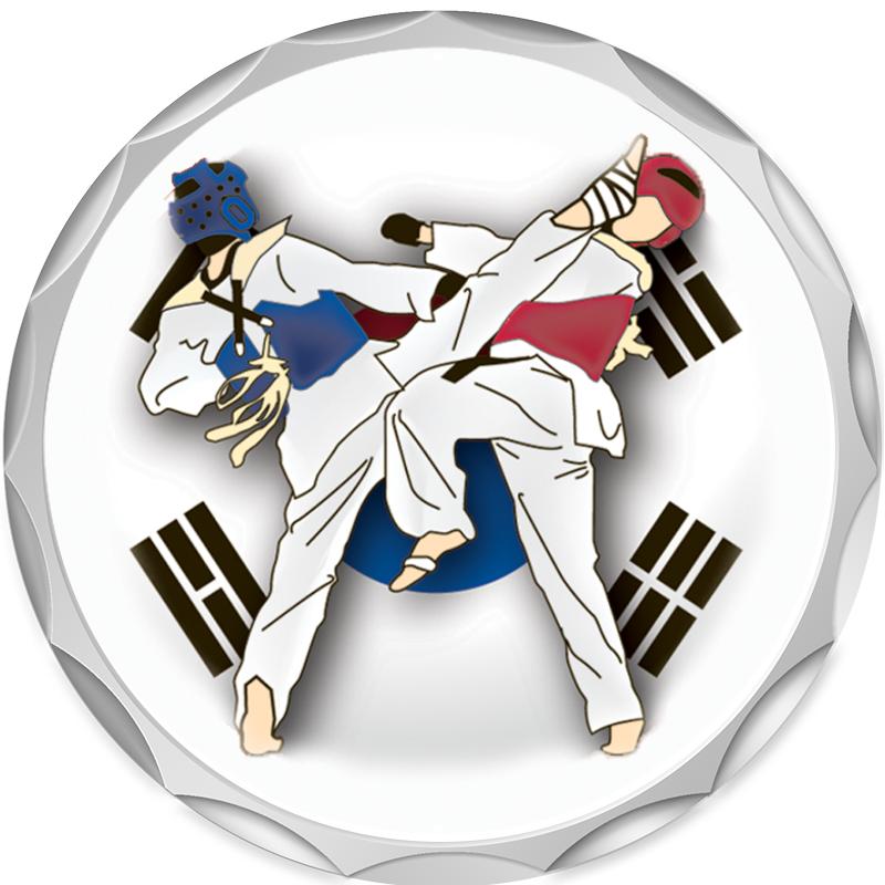 2.2" SILVER BUTTON INSERT PIN