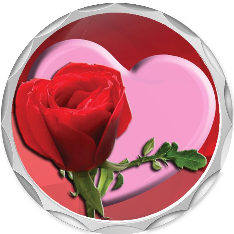 2.2" SILVER BUTTON INSERT PIN