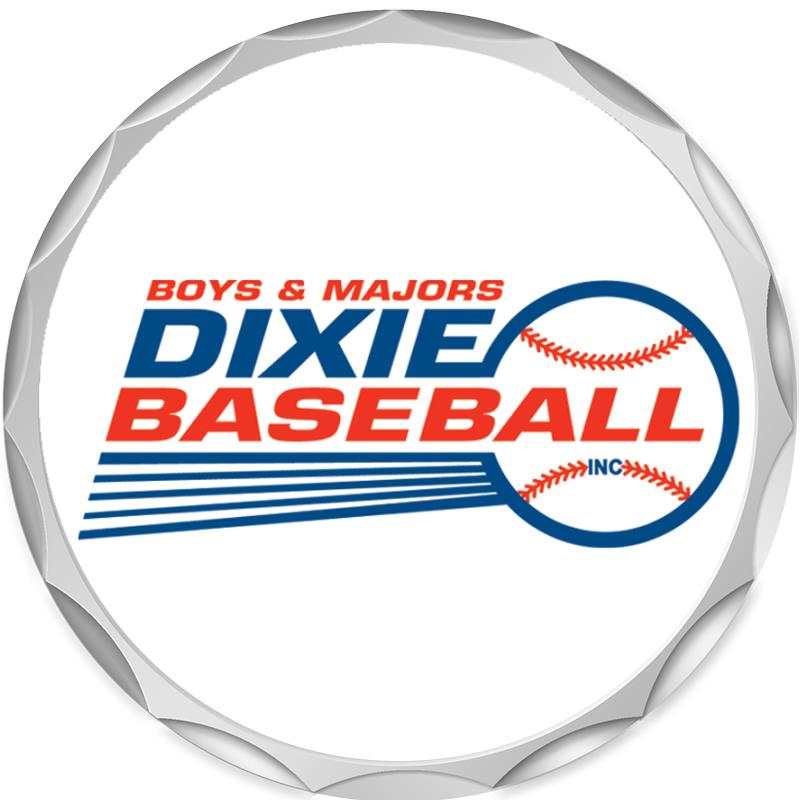 2.2" SILVER BUTTON INSERT PIN