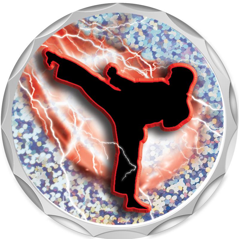 2.2" SILVER BUTTON INSERT PIN