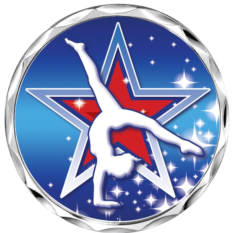 2.2" SILVER BUTTON INSERT PIN
