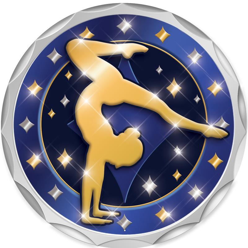 2.2" SILVER BUTTON INSERT PIN