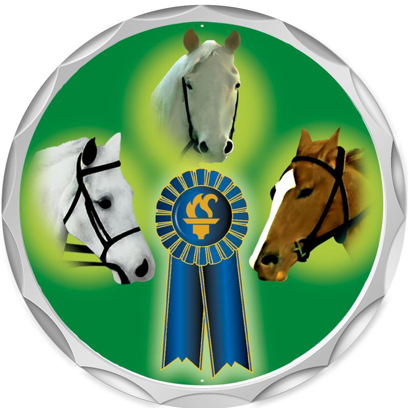 2.2" SILVER BUTTON INSERT PIN