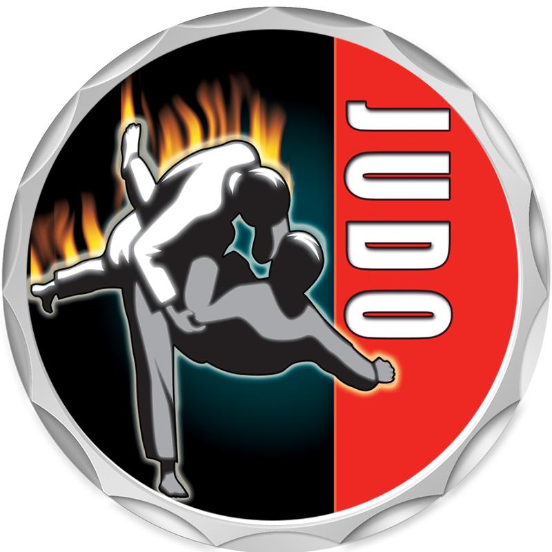 2.2" SILVER BUTTON INSERT PIN