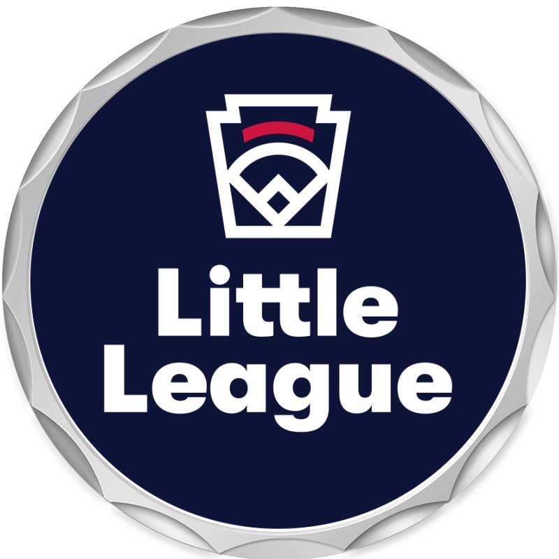 2.2" SILVER BUTTON INSERT PIN