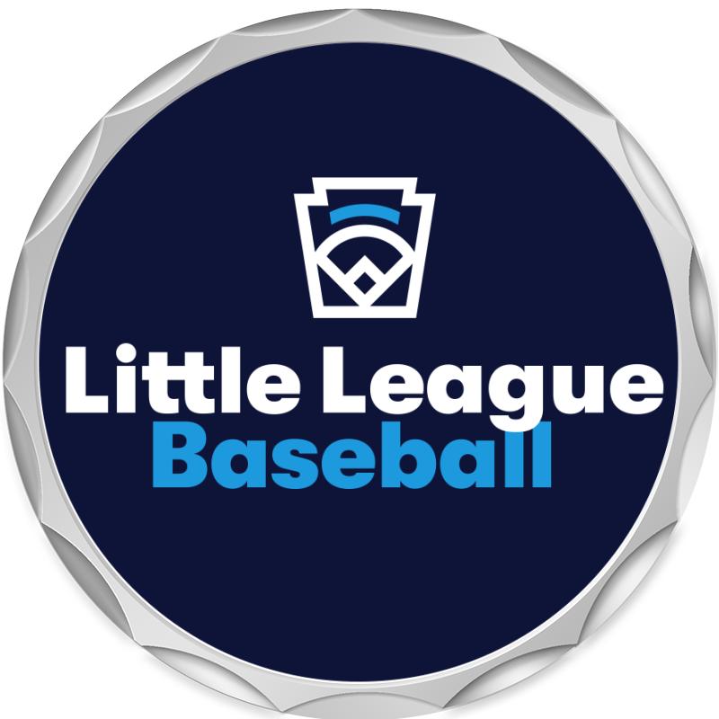 2.2" SILVER BUTTON INSERT PIN