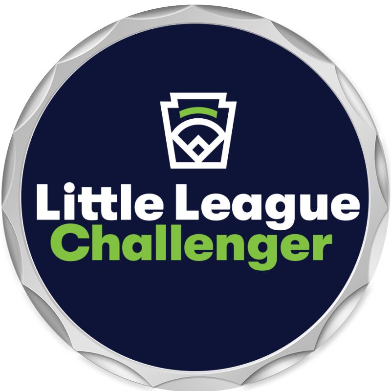 2.2" SILVER BUTTON INSERT PIN