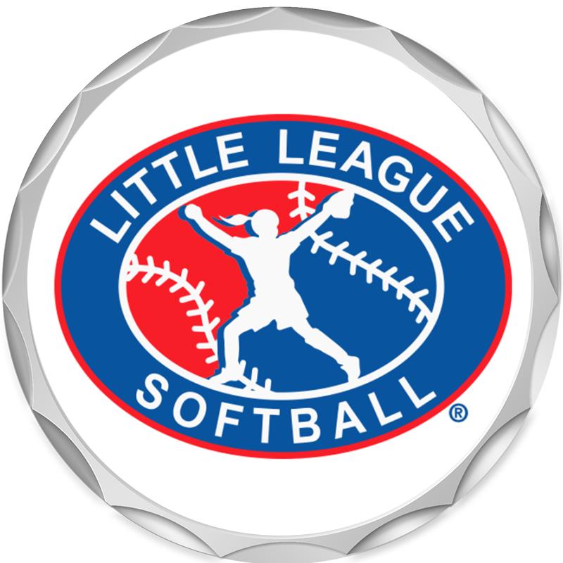 2.2" SILVER BUTTON INSERT PIN