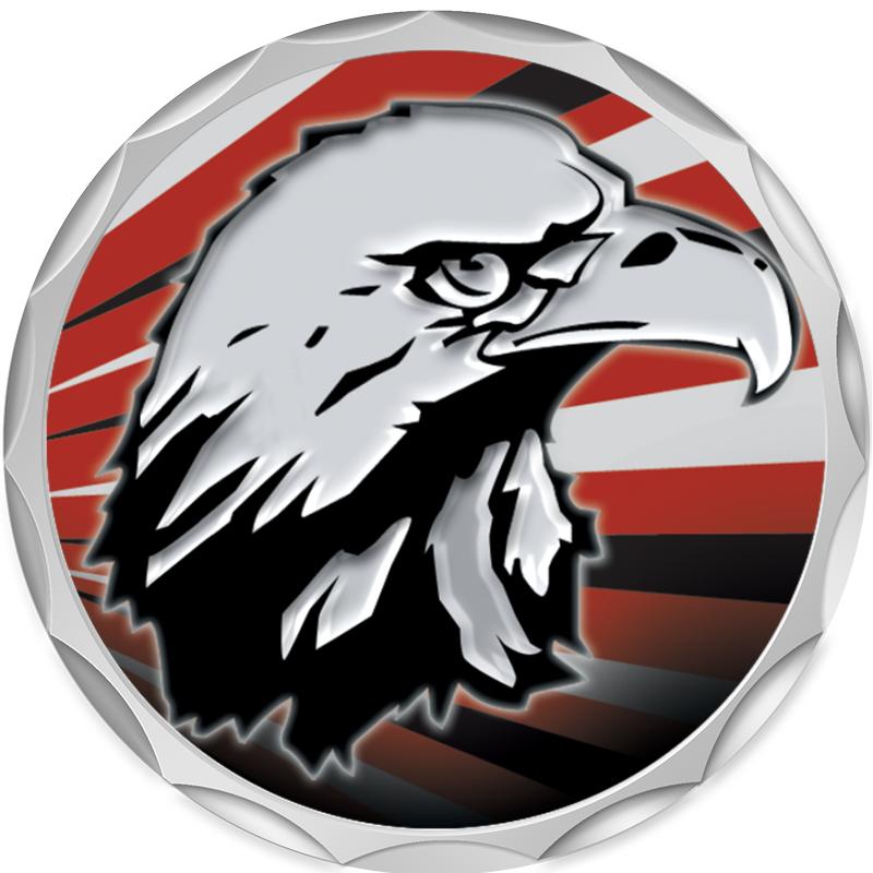 2.2" SILVER BUTTON INSERT PIN