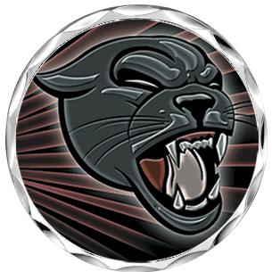 2.2" SILVER BUTTON INSERT PIN