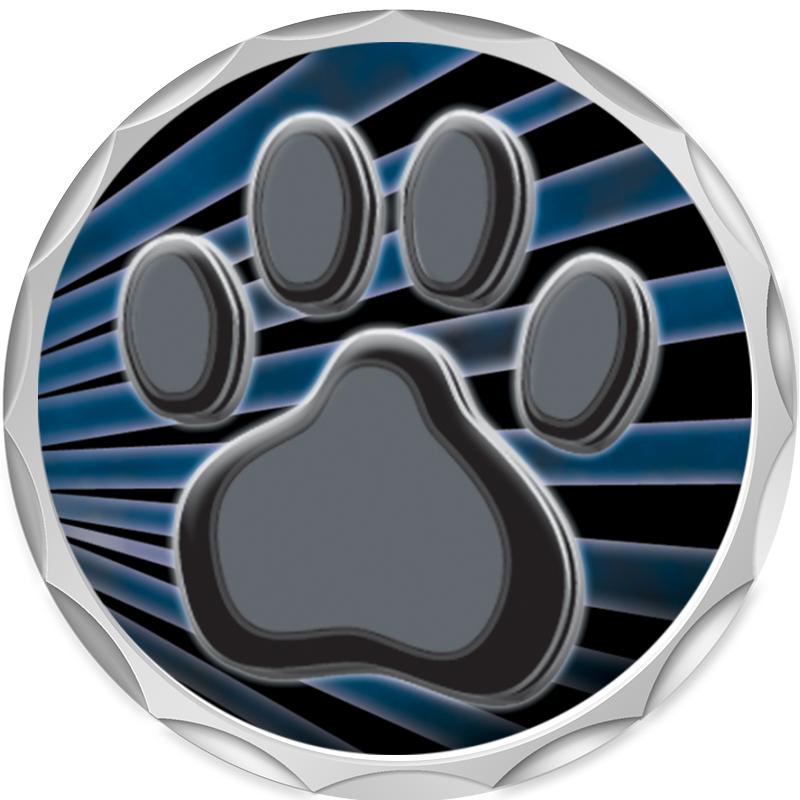 2.2" SILVER BUTTON INSERT PIN