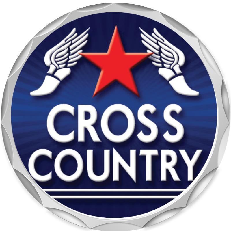 2.2" SILVER BUTTON INSERT PIN