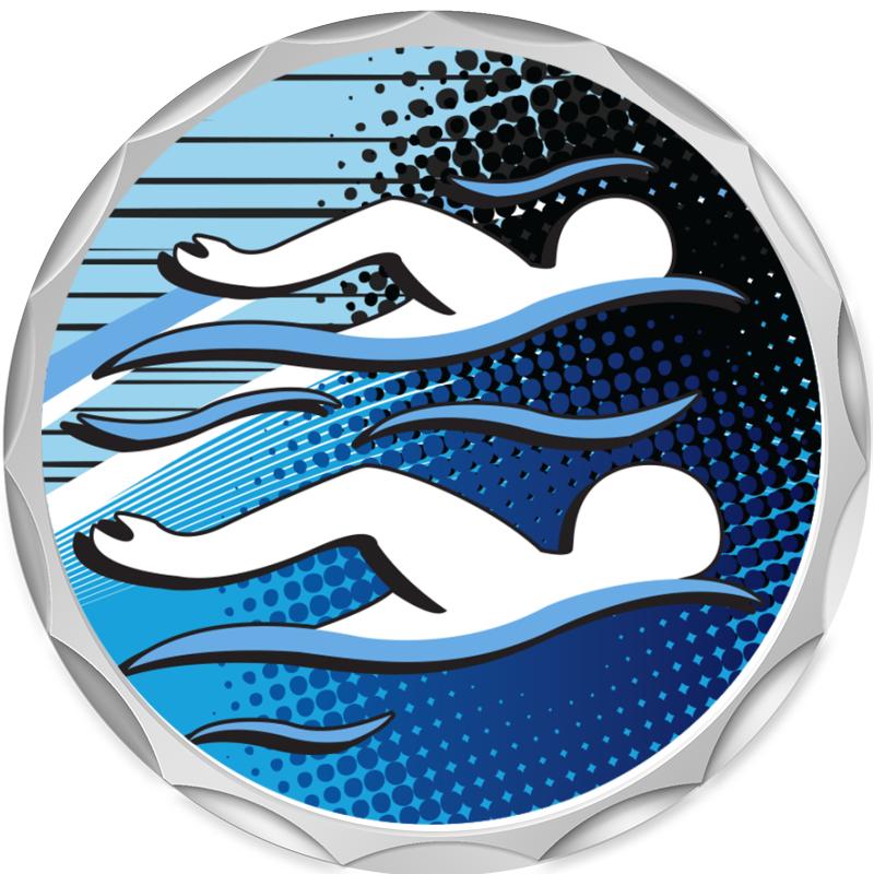 2.2" SILVER BUTTON INSERT PIN