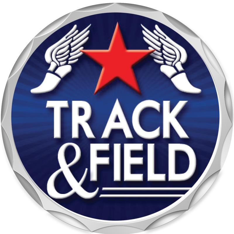 2.2" SILVER BUTTON INSERT PIN