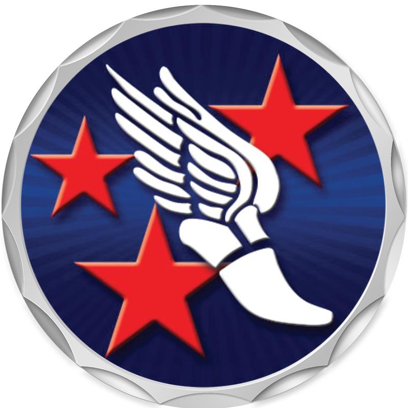 2.2" SILVER BUTTON INSERT PIN