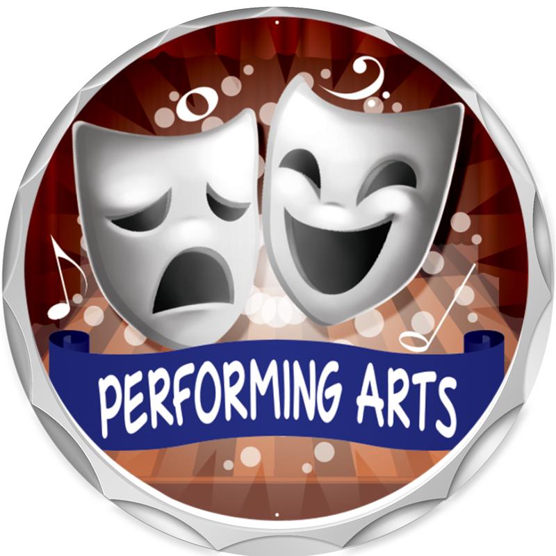 2.2" SILVER BUTTON INSERT PIN