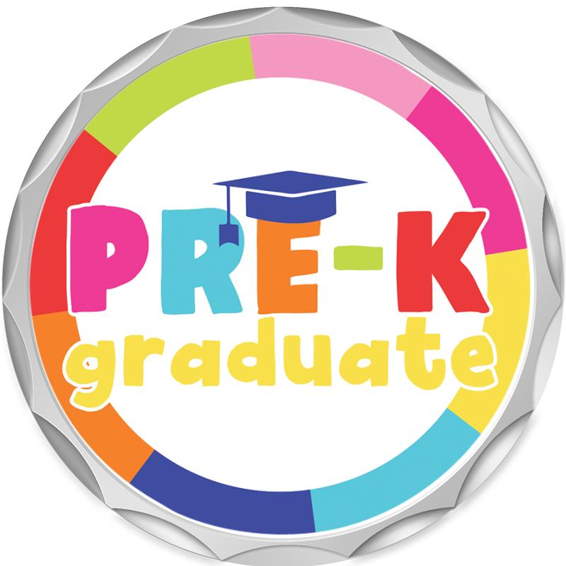 2.2" SILVER BUTTON INSERT PIN