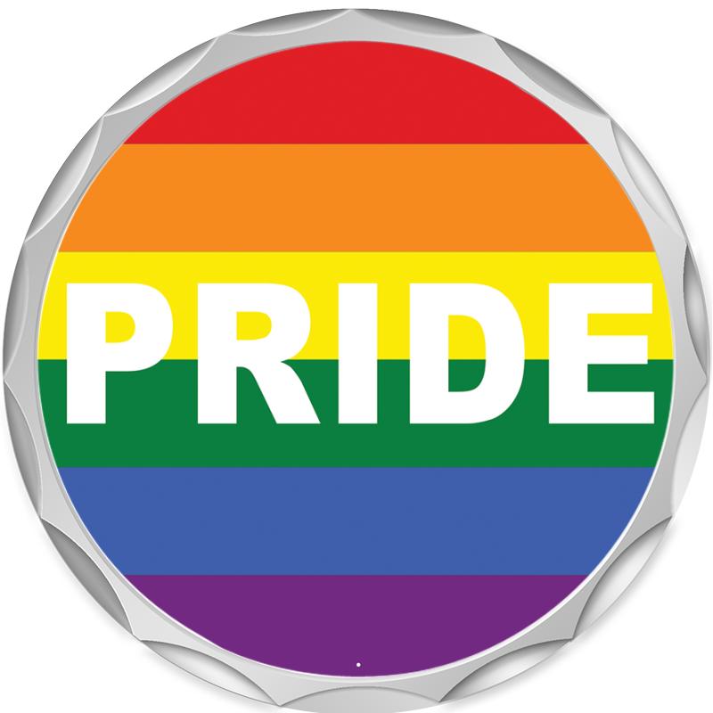 2.2" SILVER BUTTON INSERT PIN