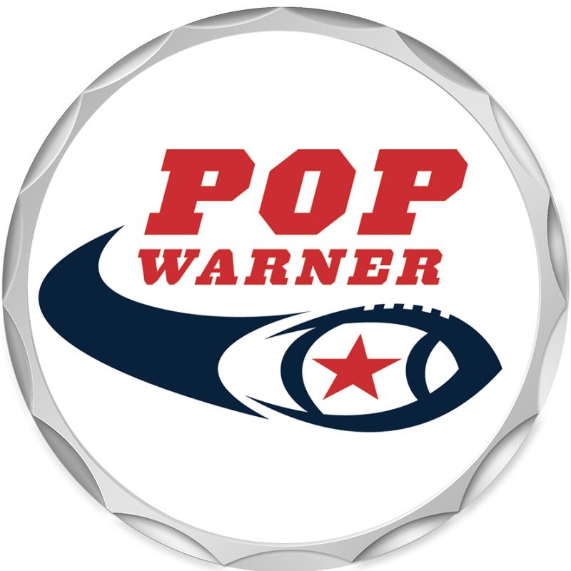 2.2" SILVER BUTTON INSERT PIN