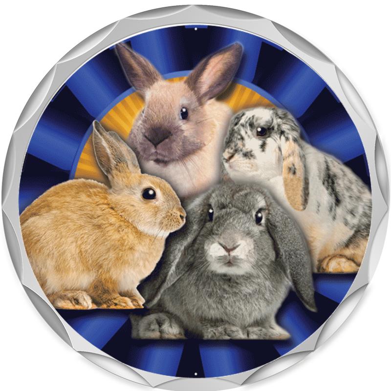 2.2" SILVER BUTTON INSERT PIN