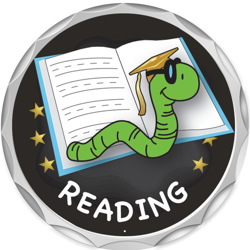 2.2" SILVER BUTTON INSERT PIN