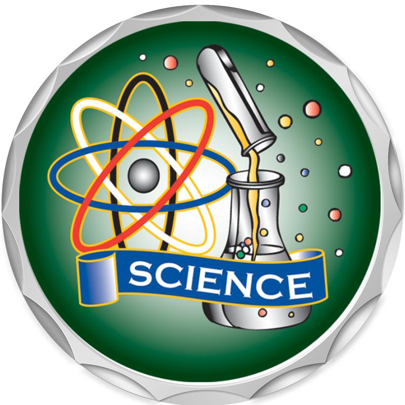 2.2" SILVER BUTTON INSERT PIN