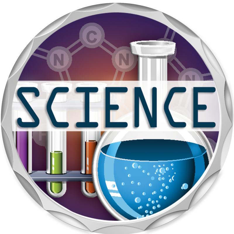 2.2" SILVER BUTTON INSERT PIN