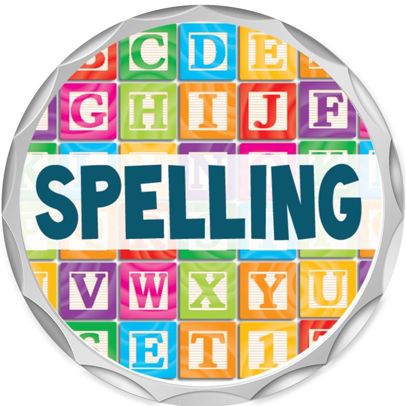 2.2" SILVER BUTTON INSERT PIN