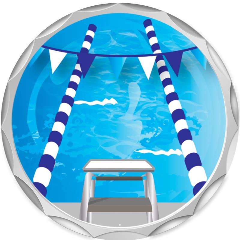 2.2" SILVER BUTTON INSERT PIN