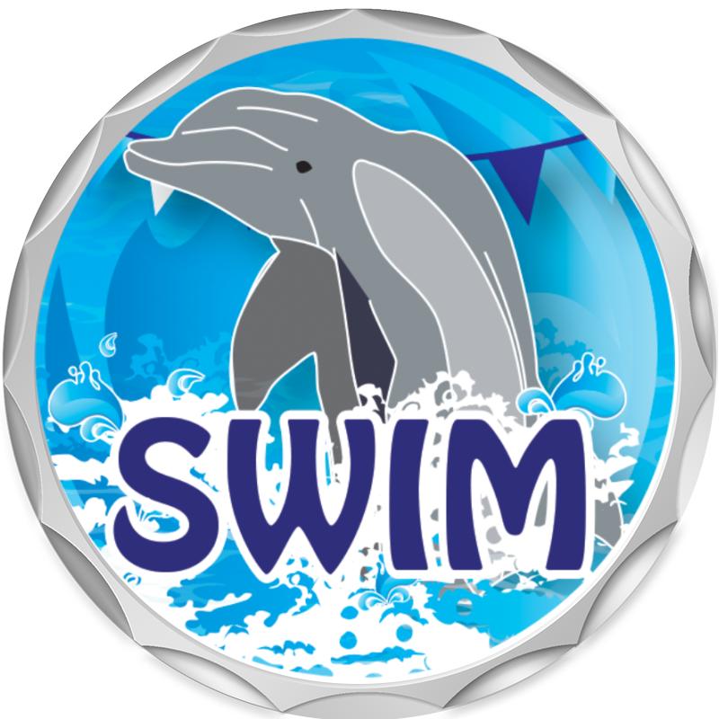 2.2" SILVER BUTTON INSERT PIN