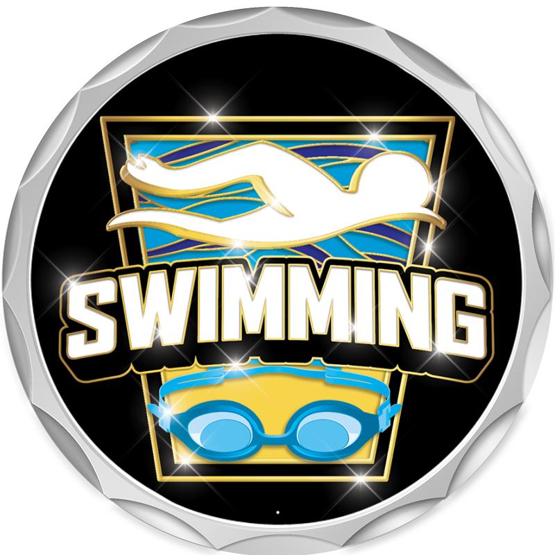 2.2" SILVER BUTTON INSERT PIN